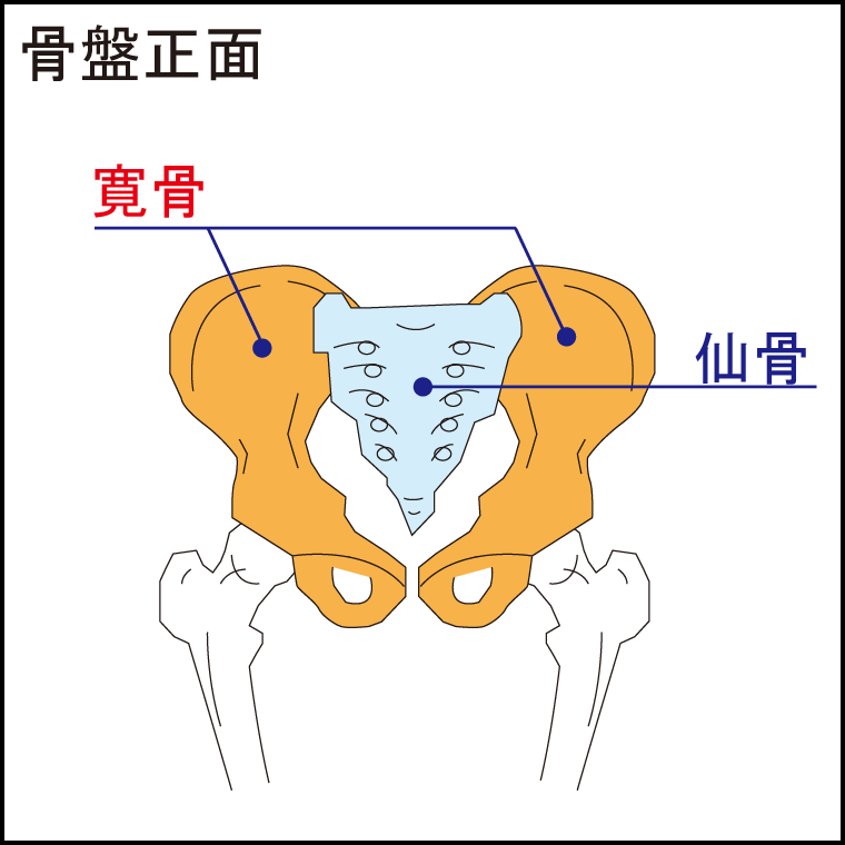 骨盤の前傾 後傾とは エステとは異なる女子力アップ美容整体